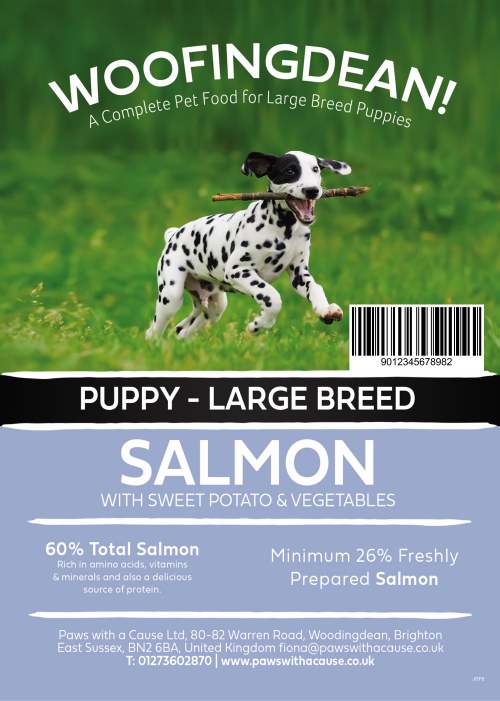 WOOFINGDEAN GRAIN FREE LARGE BREED PUPPY SALMON